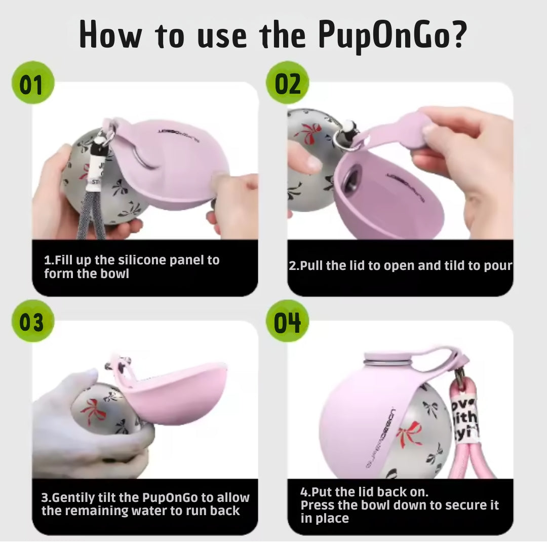 PupOnGo